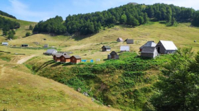Eco Village Goles